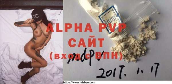 дживик Инта