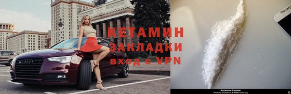 дживик Инта