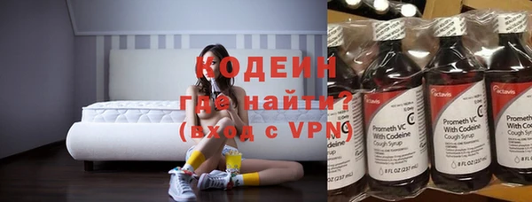 дживик Инта