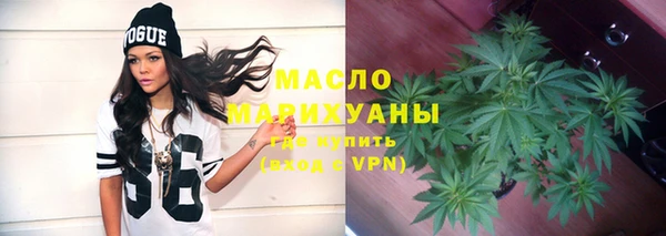 дживик Инта