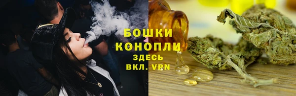 дживик Инта
