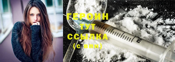 дживик Инта
