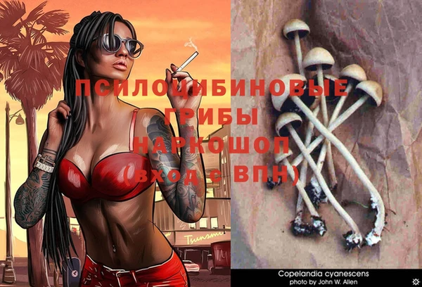 ешки Иннополис