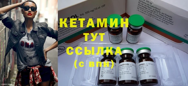 дживик Инта