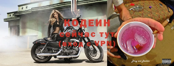 дживик Инта
