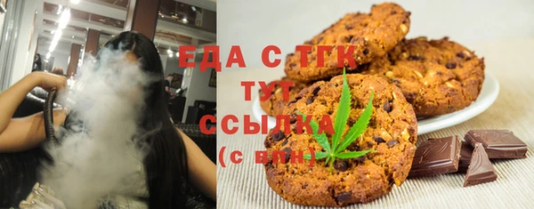дживик Инта